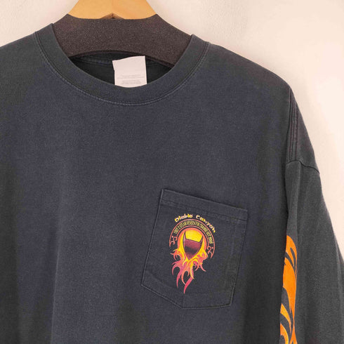ポートアンドカンパニー PORT and COMPANY バックプリント アームファイヤーパターン L/S Tシャツ メンズ